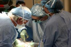 أطباء أمريكيون يقومون بزرع كلية خنزير بجسم إنسان