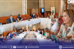 تنصيب اللجنة الوطنية المكلفة بصياغة المشروع التمهيدي لقانون الصناعة السينمائية