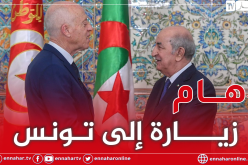 الرئيس تبون يجري مكالمة هاتفية مع قيس سعيد