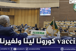 لعمامرة: تصنيع لقاح كورونا ليس للجزائر فقط بل لدول افريقية أخرى