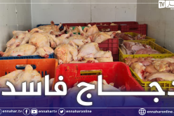 غليزان: الدرك يحجز 6 قناطير من الدجاج الفاسد ببني درقن