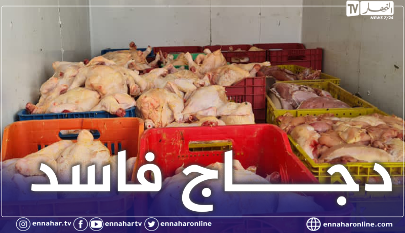 غليزان: الدرك يحجز 6 قناطير من الدجاج الفاسد ببني درقن