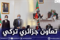 تركيا مهتمة بالاستثمار في إنتاج أدوية السرطان بالجزائر