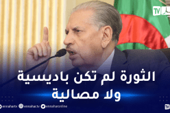 قوجيل: الثورة التحريرية كانت شعبية بلا زعيم ولا ريادة حزبية