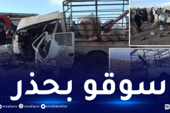الجلفة: قتيل وجريح في حادث اصطدام سيارة بشاحن بالمجبارة