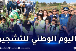 موالفي: نهدف إلى الحفاظ على البيئة تجسيدا لتوجيهات رئيس الجمهورية