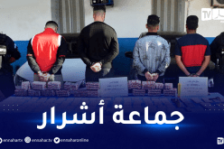 تيبازة: حجز أكثر من 6 آلاف قرص مهلوس