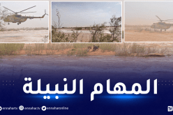 الجيش ينقذ 3 مواطنين حاصرتهم سيول جارفة في إليزي (بالصور)