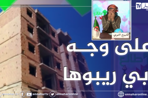 طالع هابط: عمارة مغشوشة بالبليدة عمرها 25 سنة أًصبحت وكرا لكل الآفات الإجتماعية في غياب كلي للسلطات