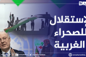 الشيخ النوي: نظام المخزن يتلقى صفعة قوية.. إرسال مبعوث أممي للصحراء الغربية وأمريكا تؤيد ذلك