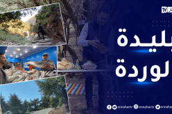 caravane safari: إكتشفوا سحر وجمال ولاية البليدة وتخييم في أعالي الشريعة