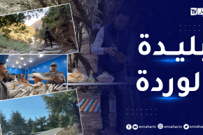 caravane safari: إكتشفوا سحر وجمال ولاية البليدة وتخييم في أعالي الشريعة