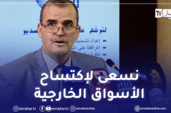 رزيق: على المؤسسات الجزائرية كسب مكانة في الأسواق الخارجية