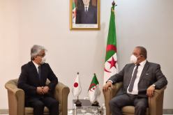 وزير الصناعة يتباحث التعاون الصناعي مع اليابان