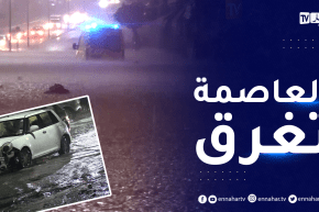 أمطار طوفانية تغرق الشوارع.. خسائر مادية وبشرية في ظرف وجيز