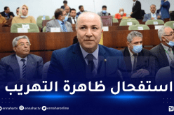 الوزير الأول: استهلاك مادة الفرينة في ولاية حدودية بلغ 300 كيلوغرام للفرد