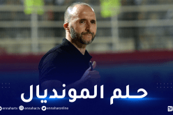 بلماضي : أتمنى تأهل هذه المنتخبات إلى المونديال