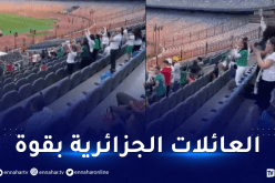 بالفيديو.. العائلات الجزائرية بقوة في مدرجات ملعب القاهرة