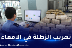 بارونان مغربيان يغرقان الجزائر بالزطلة في احتفالات الريفيون