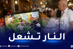 أسعار الخضر تلهب جيوب الجزائريين.. الدجاج والبيض لمن إستطاع إليهما سبيلا