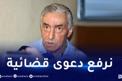 بالفيديو.. محياوي يكشف تفاصيل صفعه عقب مواجهة المدية