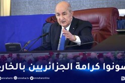 رئيس الجمهورية يأمر سفراء الجزائر عبر العالم بالدفاع عن الجزائريين بالخارج والتواصل معهم