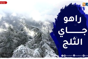 طقس: أمطار غزيرة تتعدى 120 ملم وثلوج على المرتفعات خلال الساعات المقبلة