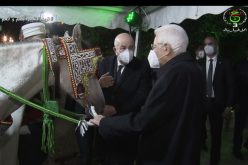 رئيس الجمهورية يهدي نظيره الإيطالي حصانا عربيا أصيلا