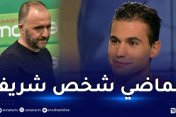 بالفيديو.. مولينا: “بلماضي رفض إبرام عقود مشبوهة مع عدة شركات”