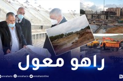 بالصور: أوّل خرجة ميدانية لوالي العاصمة الجديد أحمد معبد