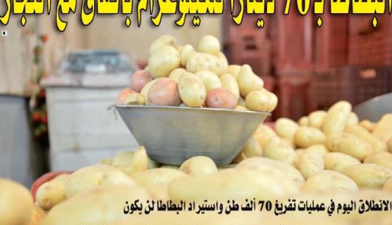 البطاطا بـ 70 دينارا للكيلوغرام باتفاق مع التجّار