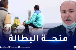 قرابة 7500 مستفيد سنويا من التأمين على البطالة.. وهذه هي الفئة المعنية بالمنحة في 2022