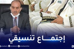 بلجود: من الضروري مرافقة السلطة المستقلة للإنتخابات لتنظيم المحليات