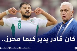 مُدرب السودان:”بلايلي كان قادر يلعب مع البياسجي أو تشلسي”