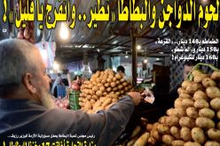 أسعار الدجاج تواصل “التحليق والطيران” والطماطم بـ 140 دينار