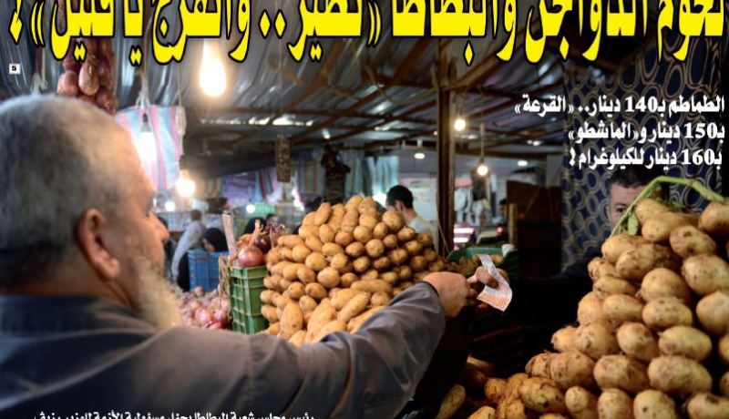 أسعار الدجاج تواصل “التحليق والطيران” والطماطم بـ 140 دينار