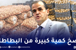 ضخ كمية كبيرة من مادة البطاطا في الاسواق