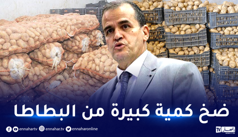 ضخ كمية كبيرة من مادة البطاطا في الاسواق