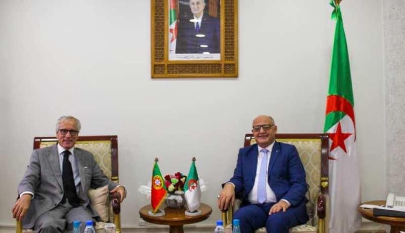 التكوين المهني.. مرابي يشجع التعاون وتبادل الخبرات مع البرتغال