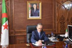 وزير الفلاحة يأمر بتوفير الأسمدة والبذور للرفع من إنتاج البطاطا