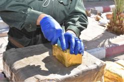 توقيف 20 بارون مخدرات وحجز 8 قناطير زطلة قادمة من المغرب