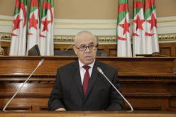 وزير العمل: لا يمكن العودة إلى نظام التقاعد النسبي