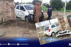 الشلف: جريح في إنحراف سيارة وإصطدامها بشجرة بحي بن قريبة