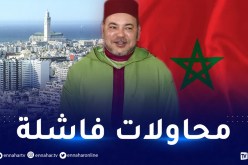 هكذا يوظف الكيان الصهيوني المخزن لمحاولة إضعاف الجزائر