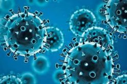 المتحور”هيهي”.. منظمة الصحة العالمية توضح