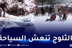 رغم قساوة الطقس.. مئات العائلات تتوافد إلى جبال الشريعة للنزهة