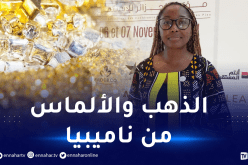 نائب وزير التكنولوجيا بناميبيا: نسعى لتصدير الذهب والألماس الى الجزائر