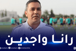 العبدي يشيد بالأجواء في مصر ويؤكد عزم الخضر على تجاوز عقبة جيبوتي