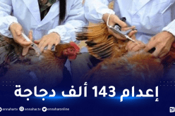 أنفلونزا الطيور تغزو اليابان