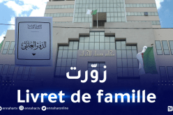 علاقة غرامية VIP.. تنتهي بسجن العشيقة بتهمة التزوير